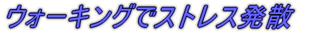 �E�H�[�L���O�ŃX�g���X���U